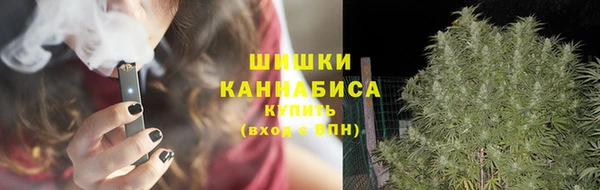 стаф Снежногорск