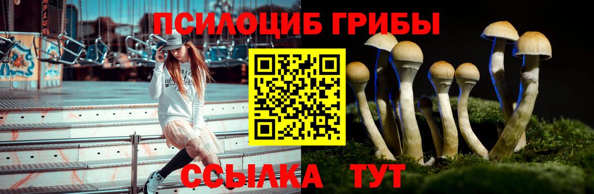 Псилоцибиновые грибы мицелий  Галлюциногенные грибы Magic Shrooms  Вход с VPN  Вязьма 